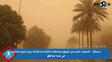 رسميًا.. الأرصاد تحذر من شبورة وأمطار الثلاثاء ونشاط رياح مثيرة للأتربة في عدة مناطق